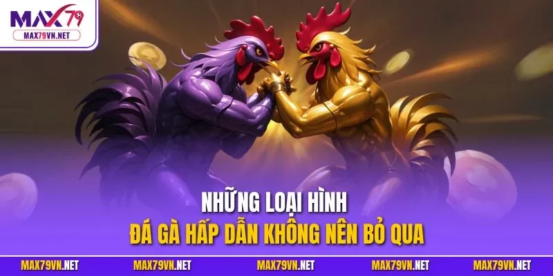 Những loại hình đá gà hấp dẫn không nên bỏ qua